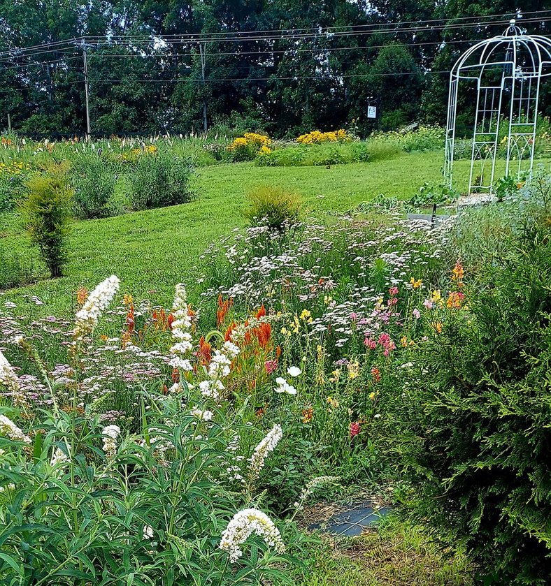 Briar Rose Garden photo